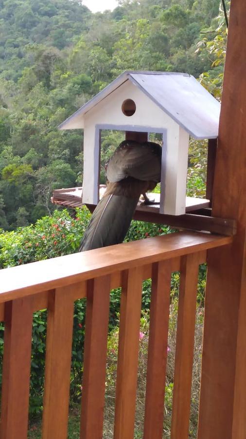 Casa Sossego Da Montanha Villa Visconde De Maua Eksteriør billede